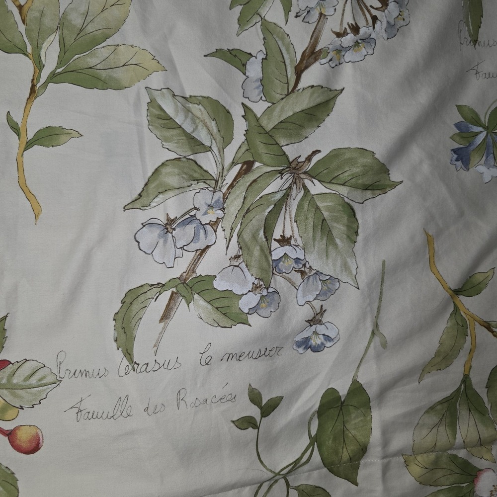Pottery Barn Floral Bed Pillow Case %100 Organic Cotton Euro Style 30 x 30 in - Picture 6 of 8